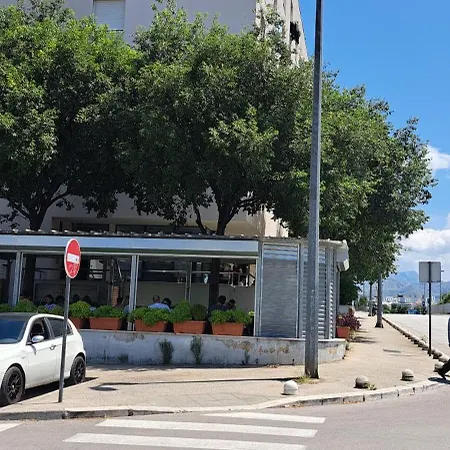 Little Sunlight Oasis *